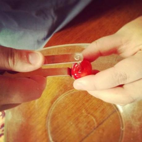 Comment faire de la confiture de cerises ? IMG_20130720_190130