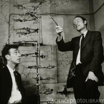 Célèbre photographie présentant Watson et Crick devant un modèle d'architecture de l'ADN.  
