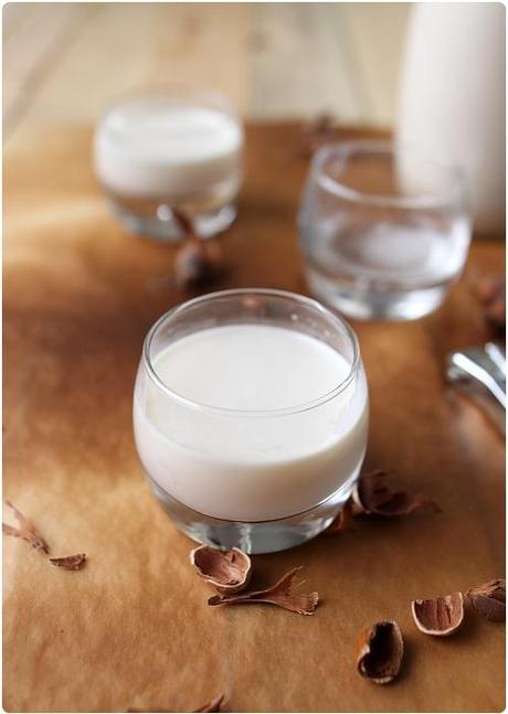 Laits végétaux, crèmes au chocolat paléo et petits desserts : Recettes de la semaine S30/2013 lait-noisettes_chefnini
