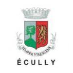 ECULLY T C 2013 logo Ecully