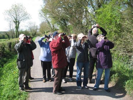 Les “Birdwatchers” Les “Birdwatchers”