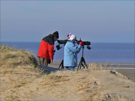 Les “Birdwatchers” Les “Birdwatchers”