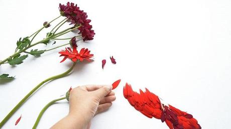 Oiseaux de Fleurs – Hong Yi Hong Yi - Oiseaux de Fleurs 00