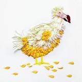 Oiseaux de Fleurs – Hong Yi Hong Yi - Oiseaux de Fleurs 08