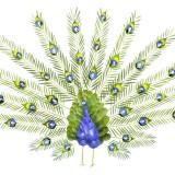 Oiseaux de Fleurs – Hong Yi Hong Yi - Oiseaux de Fleurs 03