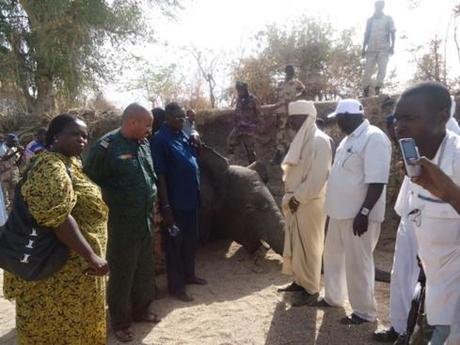 Des fonctionnaires à côté du corps d’un éléphant massacré, un parmi plusieurs dizaines. Photos reproduites avec l’aimable autorisation de SOS Eléphant au Tchad.