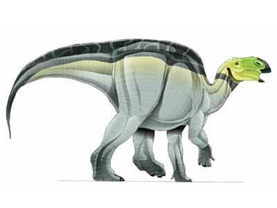 hadrosauridés