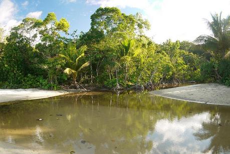 Le croco et l'Australien image