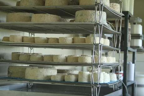 cote-fromage-france La France côté fromage
