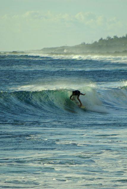 Le surf, un sport qui décline à la Réunion (risque requin)