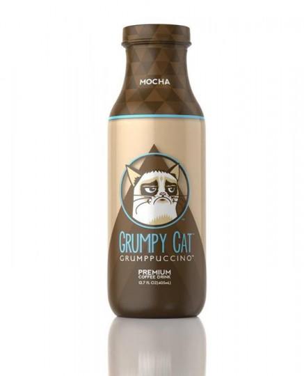 Grumpy cat, un chat fort de café 994860_550901971612211_287785608_n