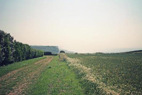 LOVELY NORMANDIE LOVELY NORMANDIE