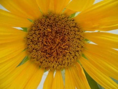 EN AOUT (proverbes) citations,proverbes,écriture,blogs,saison,été,société