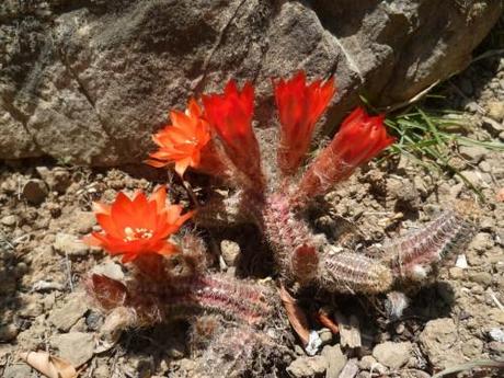 EN AOUT (proverbes) citations,proverbes,écriture,blogs,saison,été,société