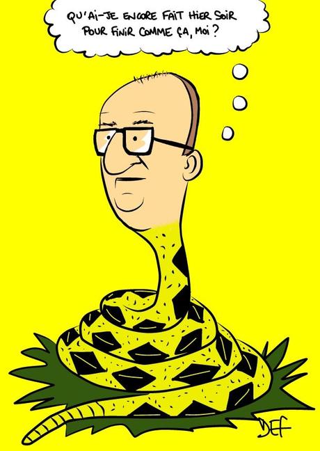 Parti libertarien belge gauche, droite, libres tout simplement