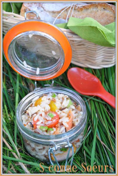 Un pique-nique à la campagne divers2 0713-001