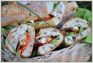 Un pique-nique à la campagne divers2 0701-003