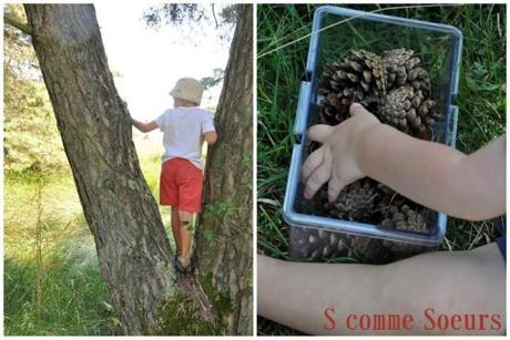 Un pique-nique à la campagne paturiejuillet20131