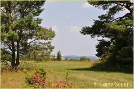 Un pique-nique à la campagne divers2 0762