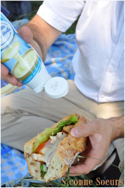 Un pique-nique à la campagne divers2 0711-004