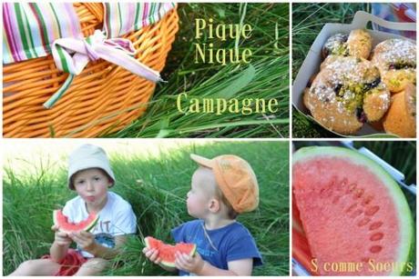 Un pique-nique à la campagne paturiejuillet20133