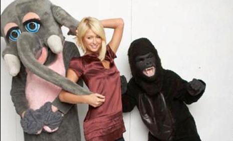 85.000 amis ! large_376706