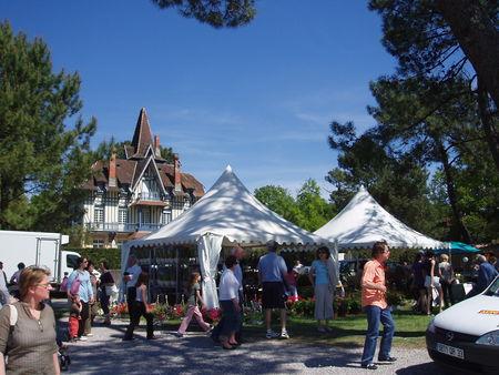 SALON DES LOISIRS AVRIL 2008 SALON_DES_LOISIRS_AVRIL_2008__FLEURS