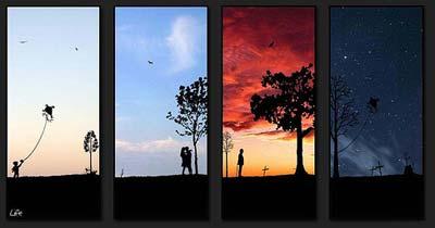 Le cycle des générations cycle de la vie