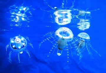 Robotus medusae: comprendre proto-intelligence