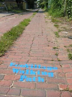 Où l’on commence à voir naître des écovillages aux Etats Unis…