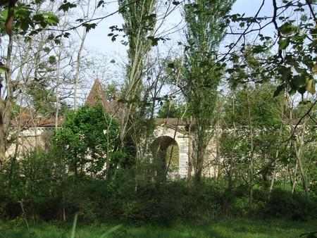 Week-end de folie (4): visite à Smith Haut Lafitte DSCF9176