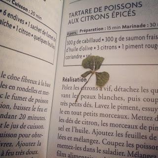 Le trèfle à quatre feuilles, le feu d'artifice au-dessus de la rivière Yarra et le tartare de Saint-Jacques en nage d'endives Le trèfle à quatre feuilles, le feu d'artifice au-dessus de la rivière Yarra et le tartare de Saint-Jacques en nage d'endives