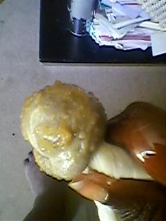 Mon huile de fenugrec Mon huile de fenugrec