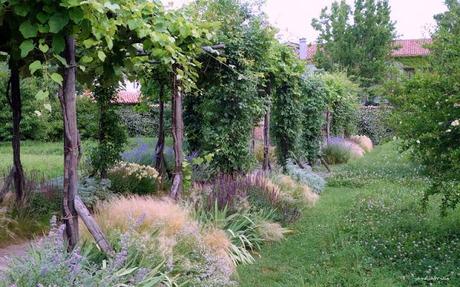 Giudecca : les jardins du Palladio (suite)