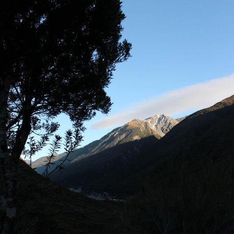 Nouvelle Zélande - Greymouth et Arthur's pass - les lubies de louise (18 sur 21)