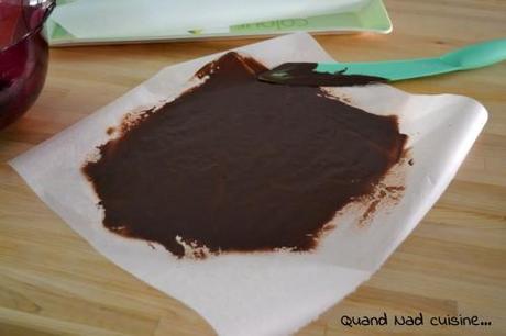 Valse vanille au chocolat croustillant (ou viennetta maison avec une glace vanille à tomber) viennetta maison2