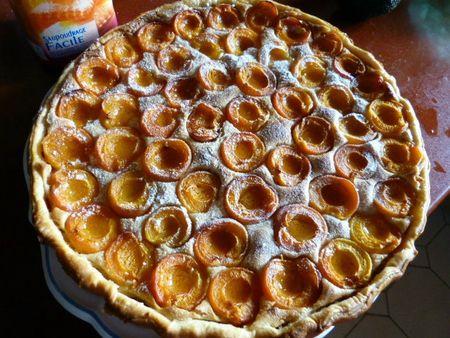Tarte aux abricots biscuitée ouvrages de dame 005