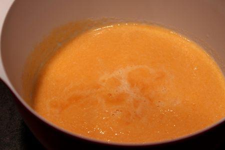 Sorbet au melon IMG_0101r