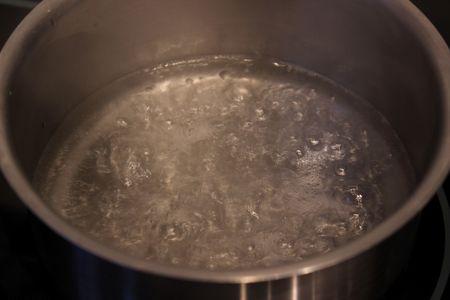 Sorbet au melon IMG_0108r