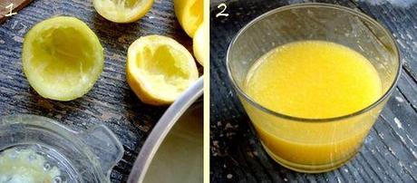 montage sorbet citron 1