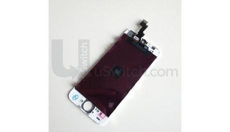 iPhone 5S : une photo ! 20130809-135908.jpg