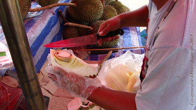 Thaïlande Le Durian, un fruit farouche [HD]