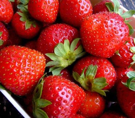 Sorbet tomate fraise fraise 118cm