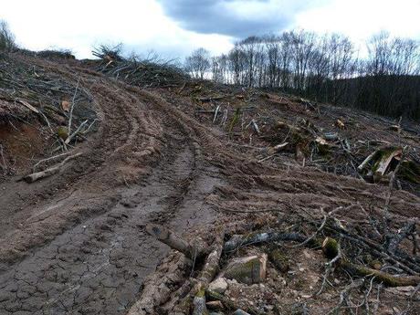 blanc Emplois et Pollution