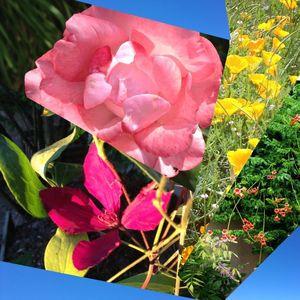 des oh ! et des bah ! ciel7