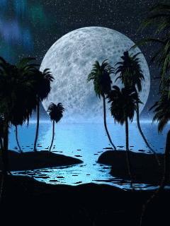 Histoire naturelle Histoire naturelle