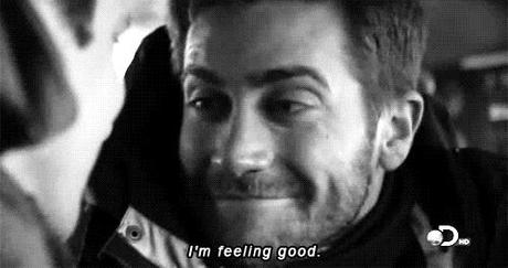 Jack Gyllenhaal, i'm feeling good