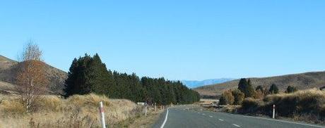 Nouvelle Zélande - Christchurch & twizel - les lubies de louise (10 sur 49)