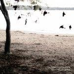 THER’S NO LEAVING NOW Tallest-Man-Theres-No-Leaving-Now