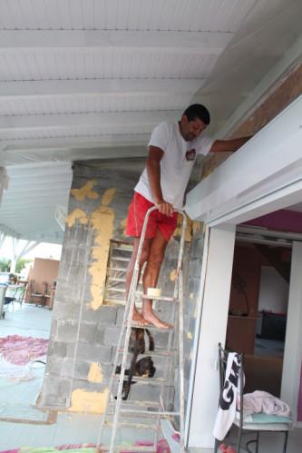 The Bodyguard-cat (Chat ) les-animaux2-3087.JPG